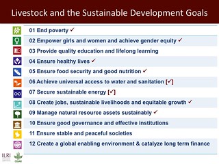 Livestock and the Sustainable Development Goals