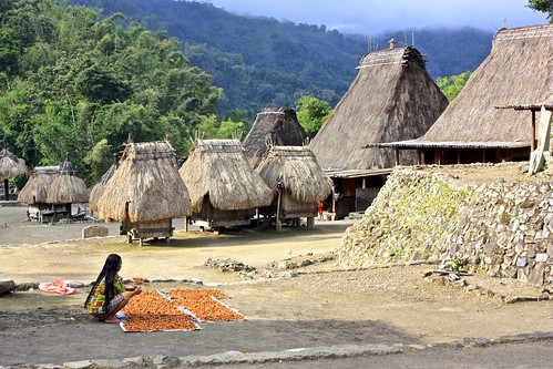 houses of Bena, a traditional Ngada village