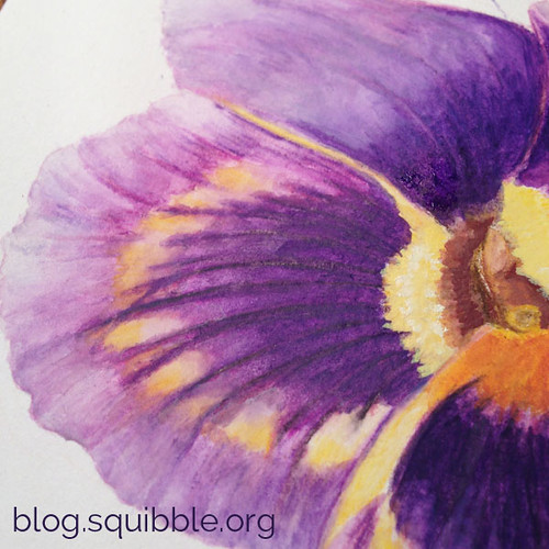 squibble_design_pansy_painting_week4_2