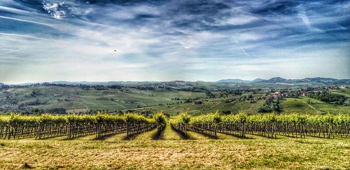 morning italy panorama landscape countryside hills vineyards lombardia paesaggio colline lombardy rovescala oltrepo vigneti