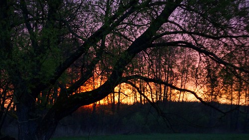 polska poland przyroda nature pejzaż landscape świt dawn wschódsłońca sunrise drzewo tree poranek morning wiosna spring wierzba willow sony a77 beautifulearth