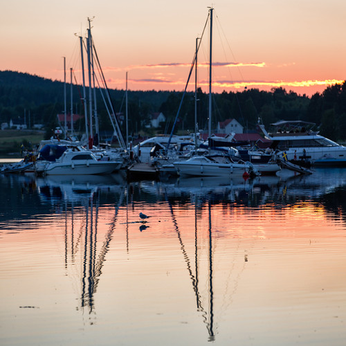 sunset sea reflection boat sweden seagull sverige båt hav norrland högakusten ångermanland västernorrlandslän norrfällsviken canoneos5dmarkiii canonef70200mmf28lisiiusm
