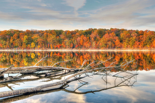 ohio lake reflection tree fall water leaves clouds canon day cloudy foliage 6d caesarcreek