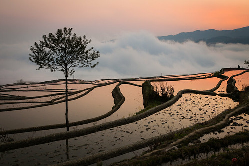 china morning travel sky mist water fog clouds sunrise landscape dawn earlymorning rays 中国 yunnan sunrays goldenrays 云南省 canon5dii