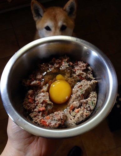 Mary's pet food with egg
