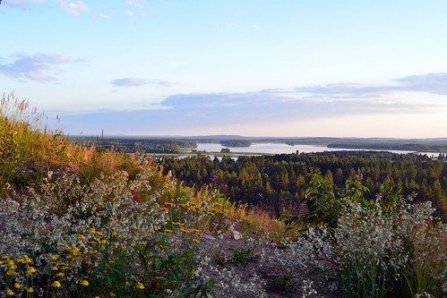 summer nature finland landscape geotagged evening scenery july ps fin lapinlahti 2011 pohjoissavo 201107 20110707 haminamäki rv211 geo:lat=6335627200 geo:lon=2740823900