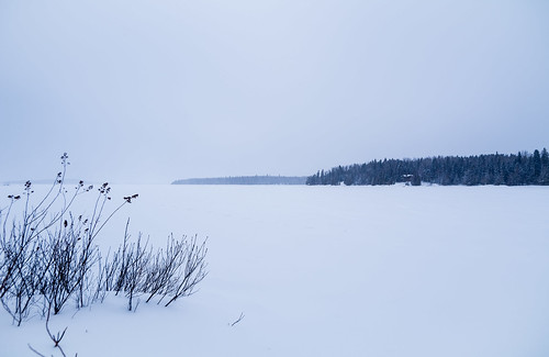 winter cedarbay winterphotography samyang10mmf28wideangle