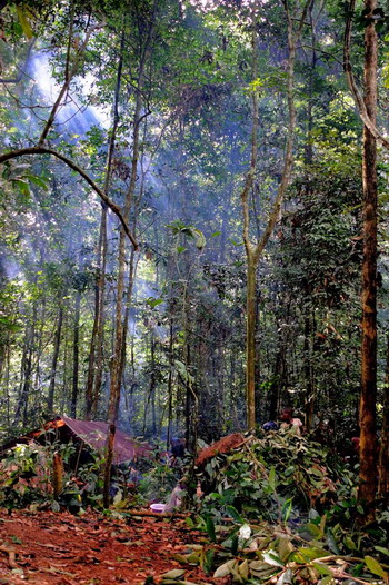 Pigmeos y Gorilas, un paseo por la selva centroafricana - Blogs de Centro Africa R. - 1.- Introducción (1)