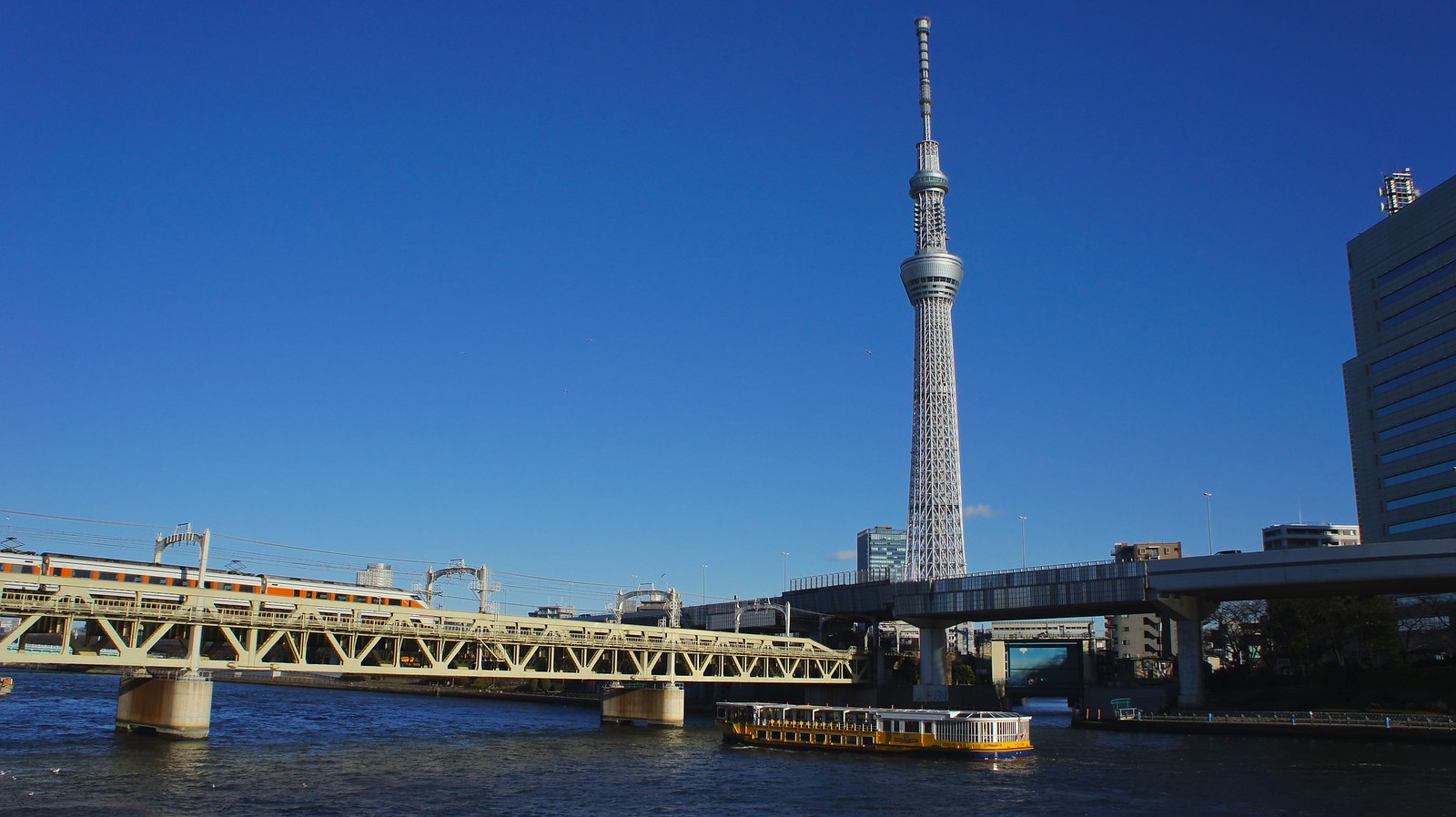 View of Skytree from the Tully's Coffee Cafe on banks of Sumida River