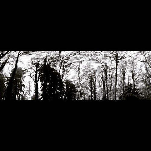 wood trip trees sky white snow black color colour tree nature forest dark square landscape photography photo woods view darkness picture pic panoramic follow squareformat snowing ph ludwig comment followme abetone whitesky blacktrees insta iphone5 iphoneography instagram instagramapp lauratintoriph