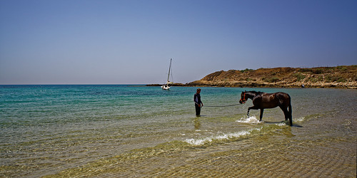 blue sea sky horse seascape beach water israel telaviv minolta yacht sony mf 24mm alpha manualfocus tlv rokkor wrokkor minoltamdwrokkor24mmf28 a7rii sonya7rm2 a7rm2 ilce7rm2