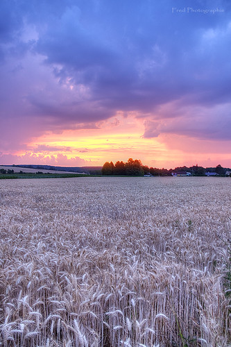 sunset france nature field nikon raw normandie hdr champ d90 photomatix