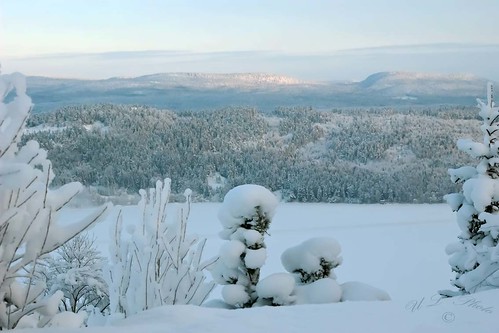 winter snow vinter woods sweden skog sverige snö dsc5586 atranswe väja västranorrland latn62°5818lone17°427 tvärsöverälven formerslalomslope fdslalombergacrosstheriver
