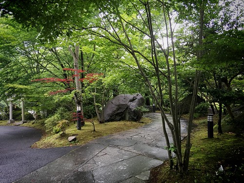 nature rain japan rural japanese maple path onsen hotsprings oita inaka