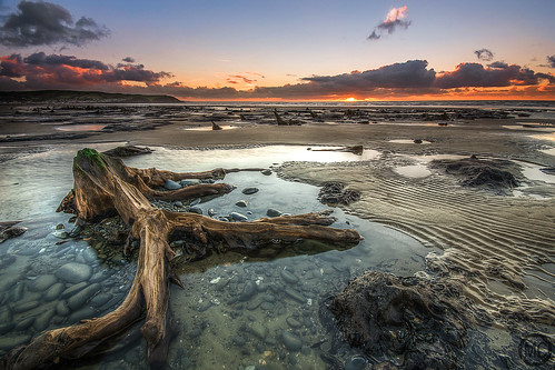 uk trees sunset sea seascape beach nature wales forest landscape nikon accepted1of100 sigma submerged 1020mm borth d3100