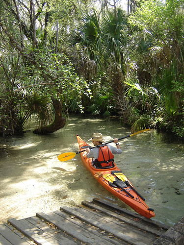 A kayaker navigates through Juniper Run on the Ocala National Forest. The seven-mile journey is on a narrow, winding waterway set under a dense canopy of old-growth forest. ReserveAmerica cites the run as one of the top 25 canoe runs in America. (U.S. Forest Service)