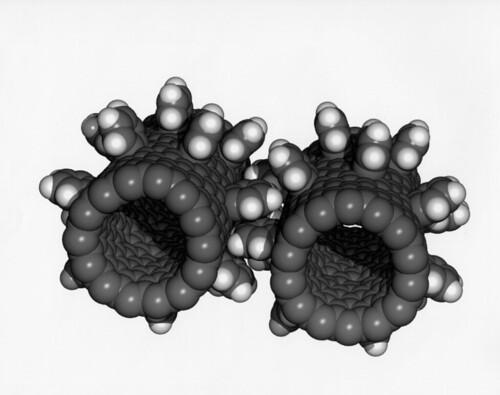 Fullerene Nanogears