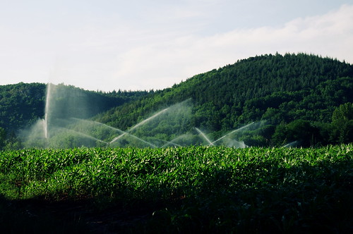 summer vacances lot mais irrigation champ tourdefaure