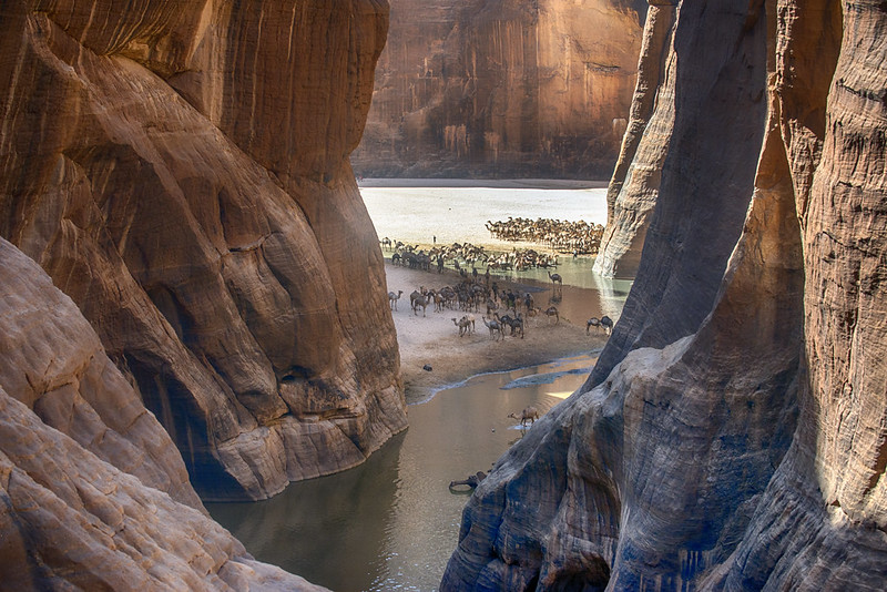 Guelta Archei - Ennedi