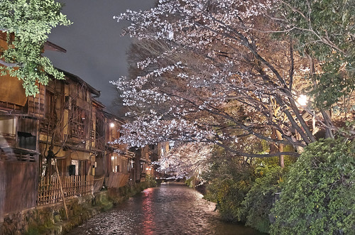 【写真】2014 桜 : 祇園白川/2021-07-02/IMGP5589