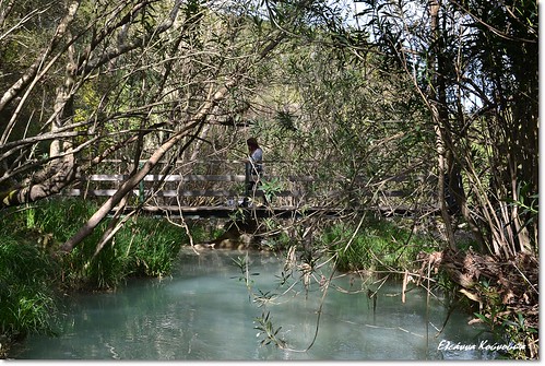 lake nature water river spring greece peloponnese messinia ελλάδα φύση λίμνη άνοιξη νερό ποτάμι polilimnio πελοπόννησοσ μεσσηνία πολυλίμνιο