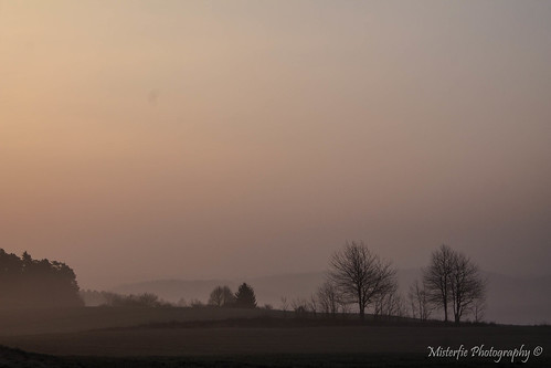 morning mist fog sunrise germany landscape bayern deutschland bavaria nebel landschaft sonnenaufgang morgen hallertau