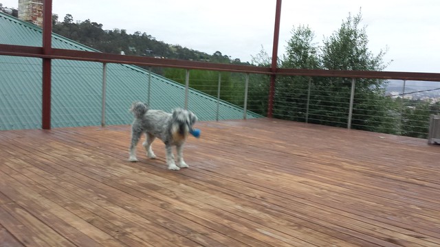 Playing with my girl Lottie on the roof