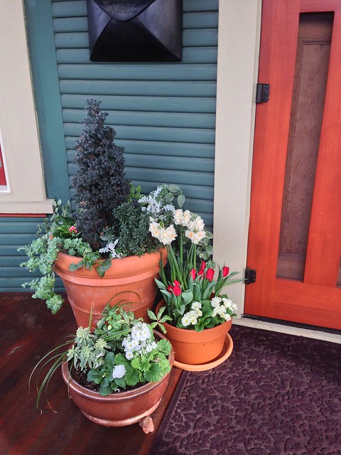 Front Porch Container Planting in Early Spring