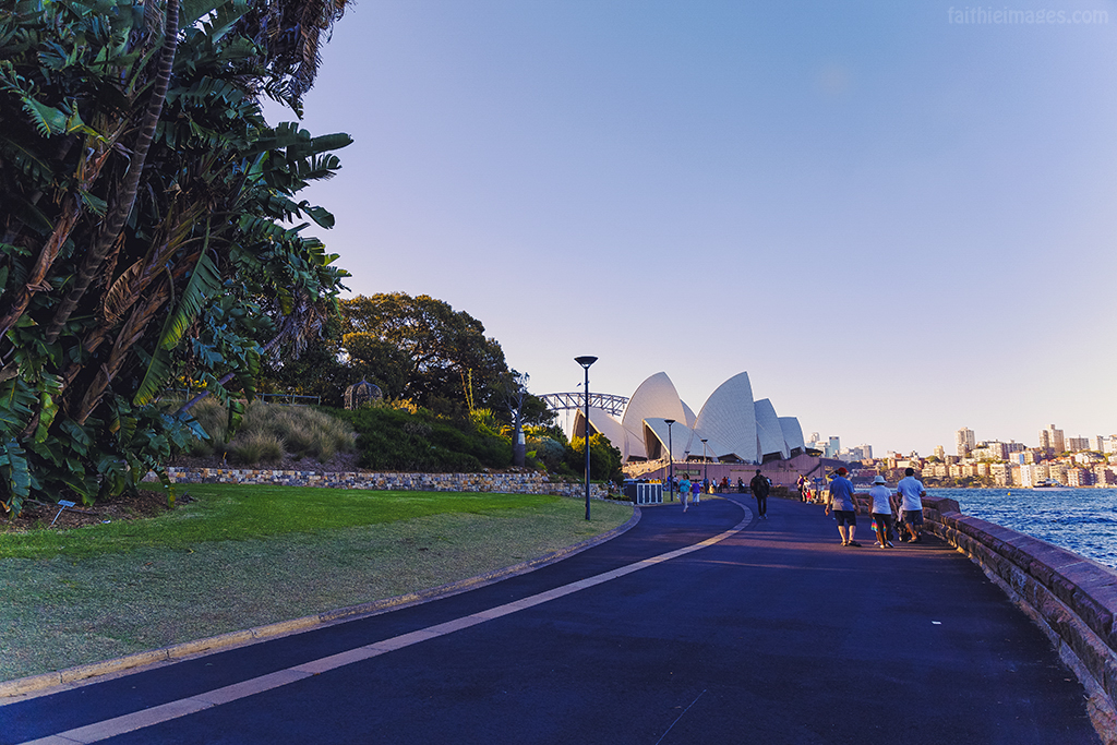 Royal Botanic Gardens and Sydney Harbour