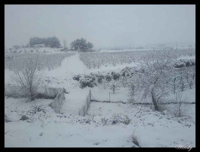 Nevando en Lleida