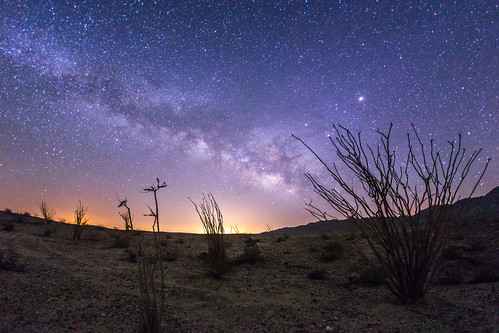 california us unitedstates desert astrophotography astronomy anzaborrego ocotillo milkyway borregosprings anzaborregodesertstatepark víaláctea
