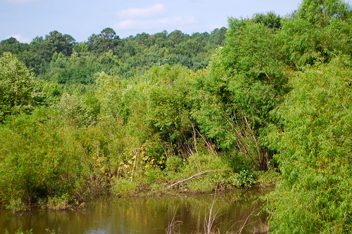 creek river lincolnton lincolncounty lincolncountygeorgia