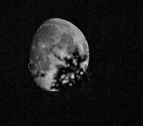 shadow tree stars landscape branch craters phase lunar gibbous waxing efs55250mm
