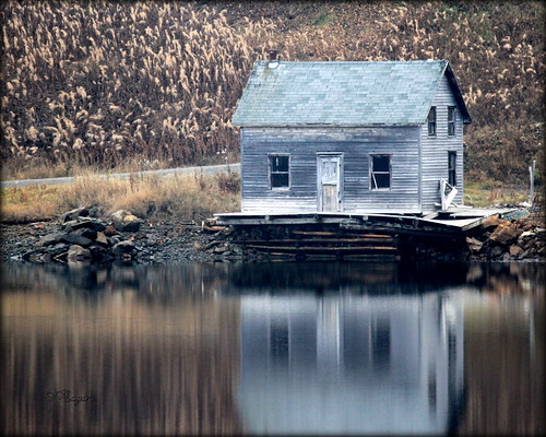 old autumn sea house canada reflection green abandoned water beauty port newfoundland island bay wooden colours harbour cove scenic calm wharf tranquil pilleys