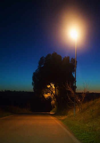 road light sunset tree streetlamp country ghostly