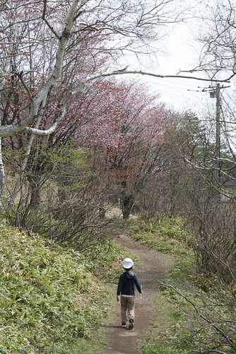 春の散歩