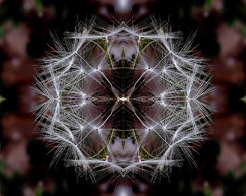 flores fractals caleidoscopio mandalas kaleidos