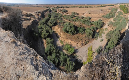 panorama landscape israel archaia telgama teljemmeh