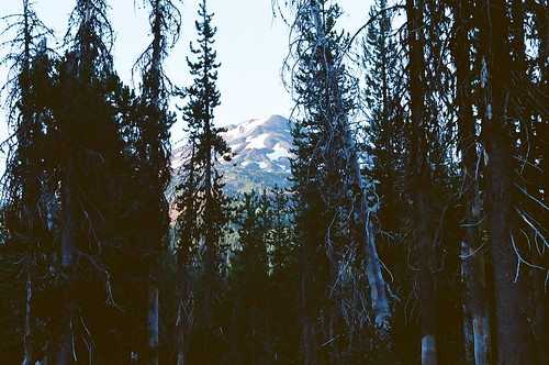 morning trees usa mountains nature oregon forest view pines cascades pacificnorthwest below volcanic mountbachelor deschutescounty