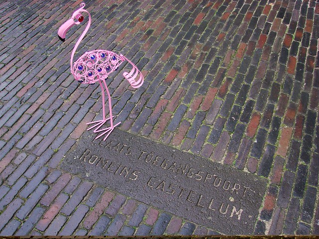 A Flamingo in Utrecht