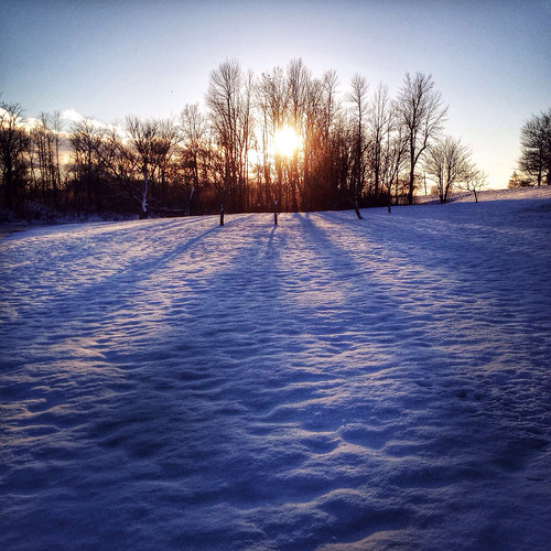 november trees sunset sun snow ontario canada rural frozen magic hour iphone iphoneography hipstamatic