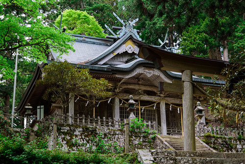 japan forest shrine 神社 worldheritage 森林 世界遺産 奈良県 玉置神社 十津川 吉野郡