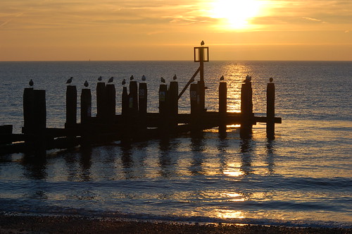 sea sun seagulls seascape sunrise seaside seashore