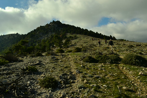 2013 πεζοπορία εύβοια περπατώντασ ορεινήελλάδα ορειβασία κεντρικήεύβοια εοσαθηνών περπατώντασστηνελλάδα πεζοπορίαστηνελλάδα ορεινήεύβοια 20131117 ευβοϊκόσόλυμποσ