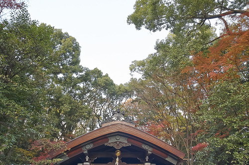 【写真】2013 紅葉 : 梨木神社/2020-09-17/IMGP4279