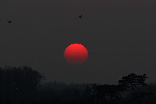 sunset sun canon soleil pollution tachesolaire