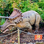 Dinosaurs @ Bristol Zoo
