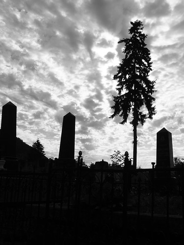 nagybánya temető