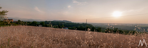 panorama italia tramonto estate piemonte campo sole grano mondovì flickraward