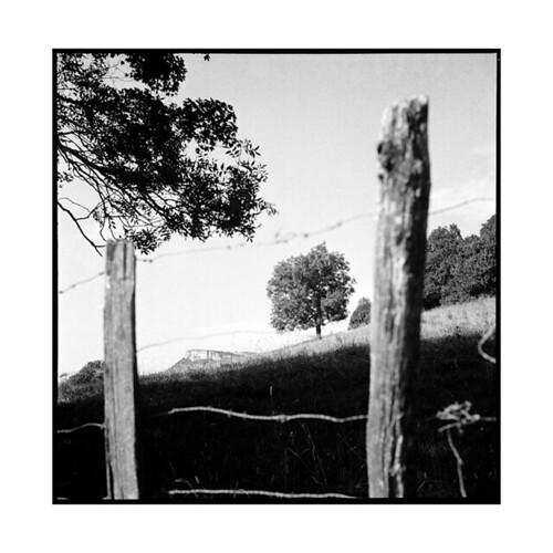 tree rock rolleiflex fence landscape view paysage arbre vue roche planar solutre cloture bourgogn eburgundy